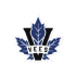 Vees de Penticton