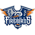 Firebirds de Flint