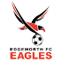Aigles d'Edgeworth