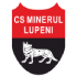 Minerul Lupeni est un minéral