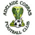 Adelaide Cobras
