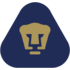 Cougars UNAM