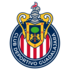 CD Guadalajara Chivas Sur pinterest