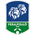 FéralpiSalo
