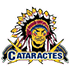 Shawinigan Cataractes