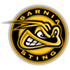 Sting de Sarnia