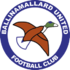 Ballinamoulard Uni logo